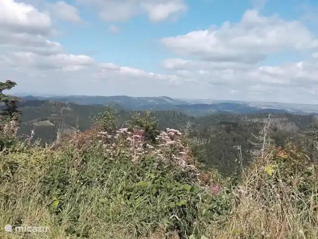 Hochwald Maxi huren in Duitsland, Nedersaksen, Bad Sachsa - appartement Uitzicht vanaf de Ravensberg