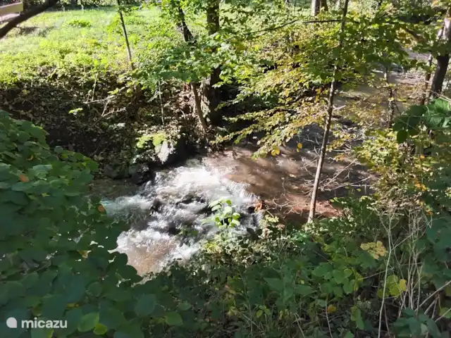 Hochwald Maxi huren in Duitsland, Nedersaksen, Bad Sachsa - appartement beekje bij Steina