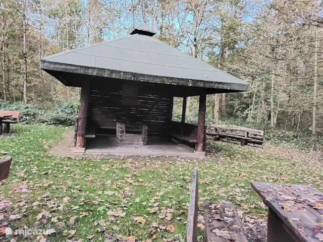 Hochwald Maxi huren in Duitsland, Nedersaksen, Bad Sachsa - appartement grilplaats in bos bij steina
