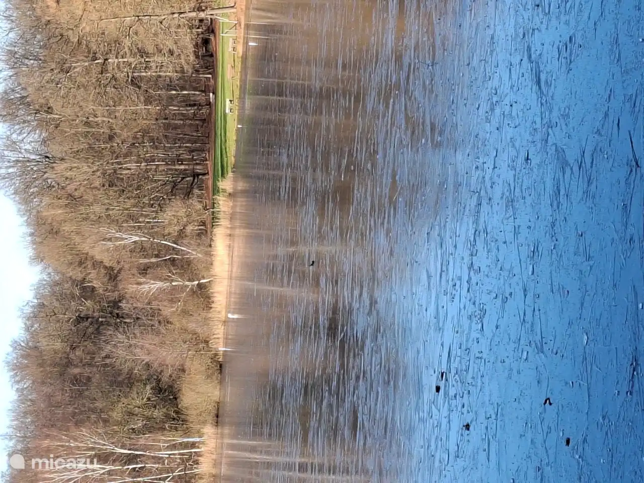 Auf der anderen Seite siehst du die Liegewiese, auf der du dich im Sommer sonnen und anschließend im See schwimmen kannst