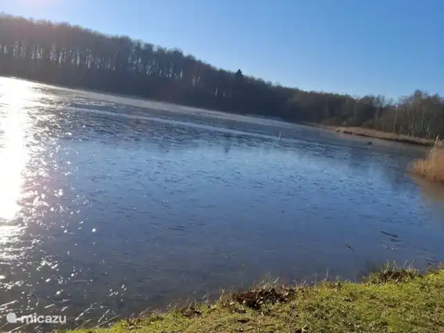 Hochwald Maxi huren in Duitsland, Nedersaksen, Bad Sachsa - appartement meertje in het bos net buiten Bad Sachsa