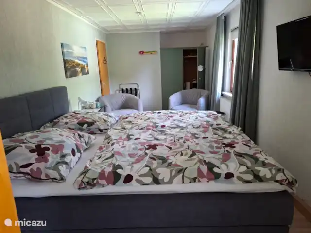 Hochwald En Suite | Allemagne, Basse-Saxe, Bad Sachsa - pension / maison d’hôtes / chambre privée Vue d’ensemble chambre avec coin salon