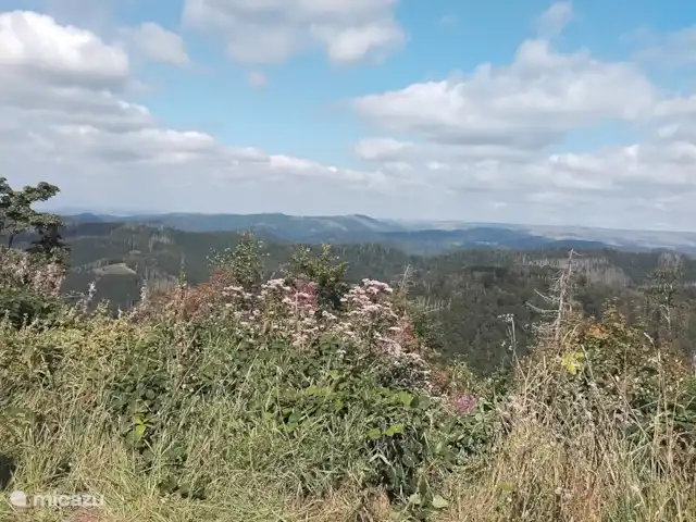 Hochwald En Suite | Allemagne, Basse-Saxe, Bad Sachsa - pension / maison d’hôtes / chambre privée Environnement