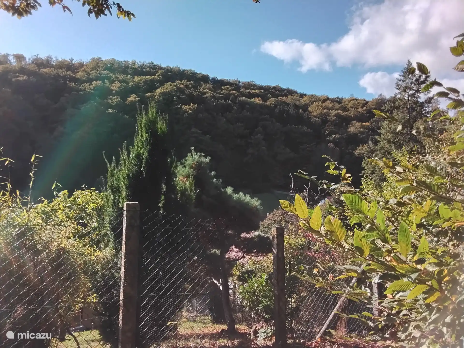 Aussicht bei Wanderung rund um Bad Sachsa