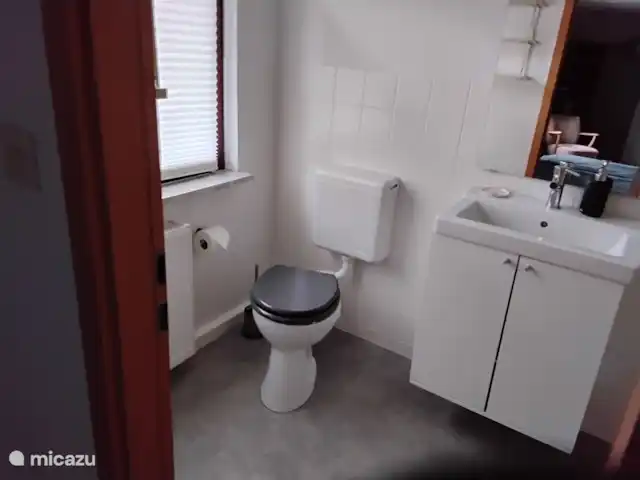 Hochwald En Suite | Allemagne, Basse-Saxe, Bad Sachsa - pension / maison d’hôtes / chambre privée Salle de Bains