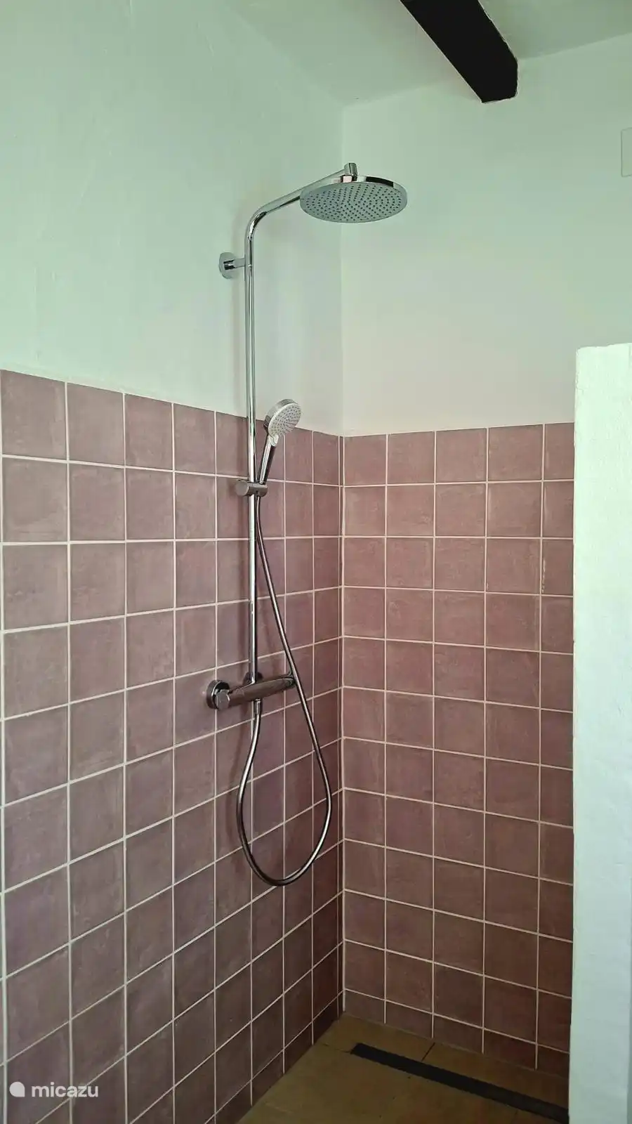 Bathroom walk-in shower