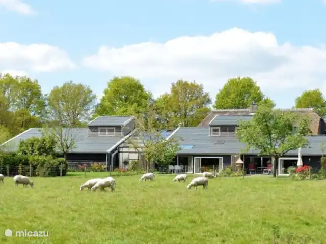 Location de Vacances Pays-Bas, Drenthe, Diever, maison de vacances - Appartement Hoeve a/d Zuurlanderes 1 Location de Vacances Pays-Bas, Drenthe, Diever, maison de vacances - Appartement Hoeve a/d Zuurlanderes 1