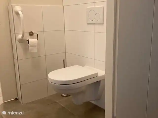 Location de Vacances Pays-Bas, Drenthe, Diever, maison de vacances - Appartement Hoeve a/d Zuurlanderes 1 De plus, les toilettes qui peuvent être fermées de la salle de bain par une porte coulissante