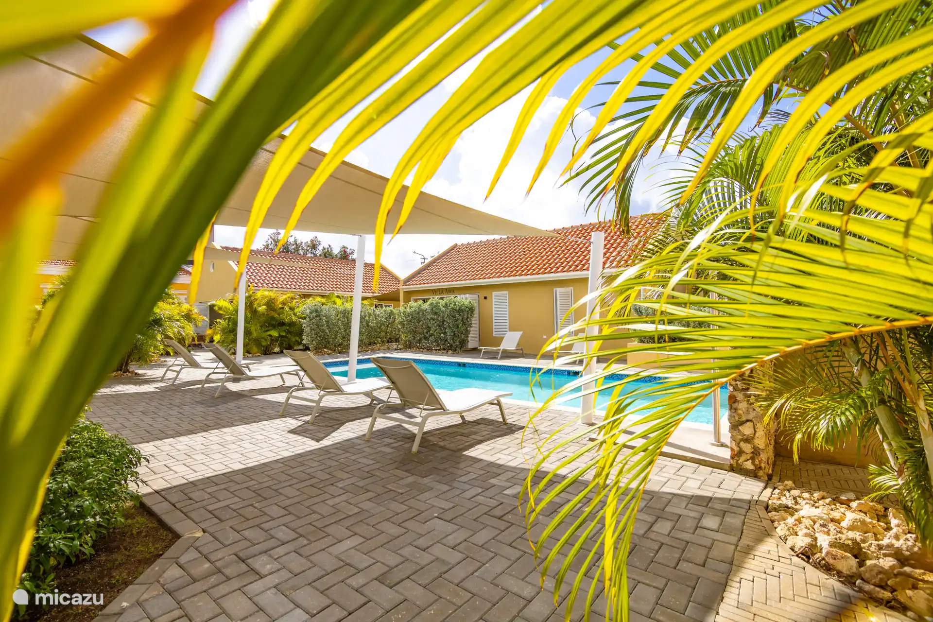 Villa Grandi Estate - zwembad & tuin