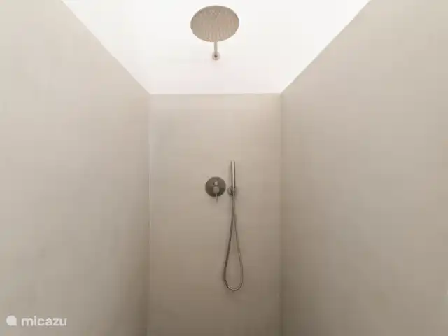 Resort privé Curaçao pour les groupes | Curaçao, Curaçao-Centre, Willemstad - villa Douche à l’italienne minimaliste avec douche à effet pluie spacieuse et finition élégante