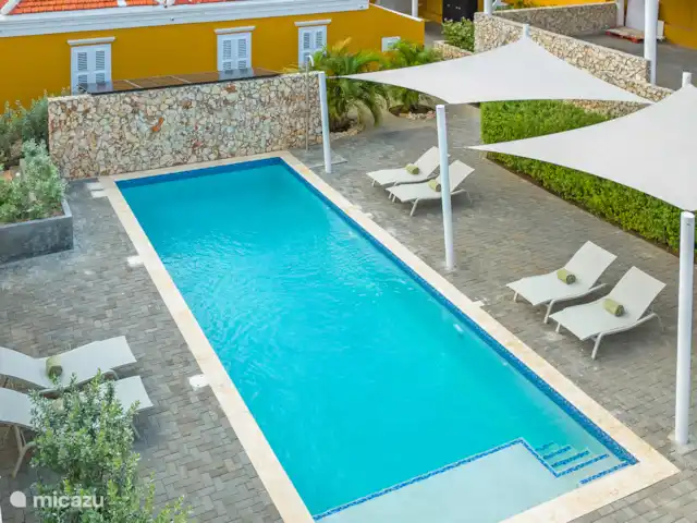 Resort privé Curaçao pour les groupes | Curaçao, Curaçao-Centre, Willemstad - villa Piscine d’eau salée de 10×4 m avec extrémité peu profonde pour se détendre dans l’eau. Entouré de verdure tropicale et de chaises longues Fermob - une oasis de calme à Curaçao