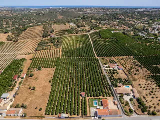 Quinta do Sobral | Portugal, Algarve, Lagoa - villa Quinta do Sobral
