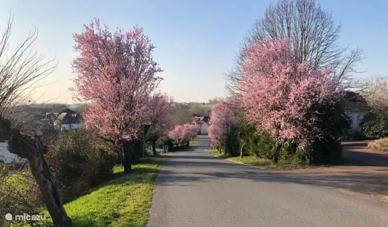 Bussiere Badil Quelle