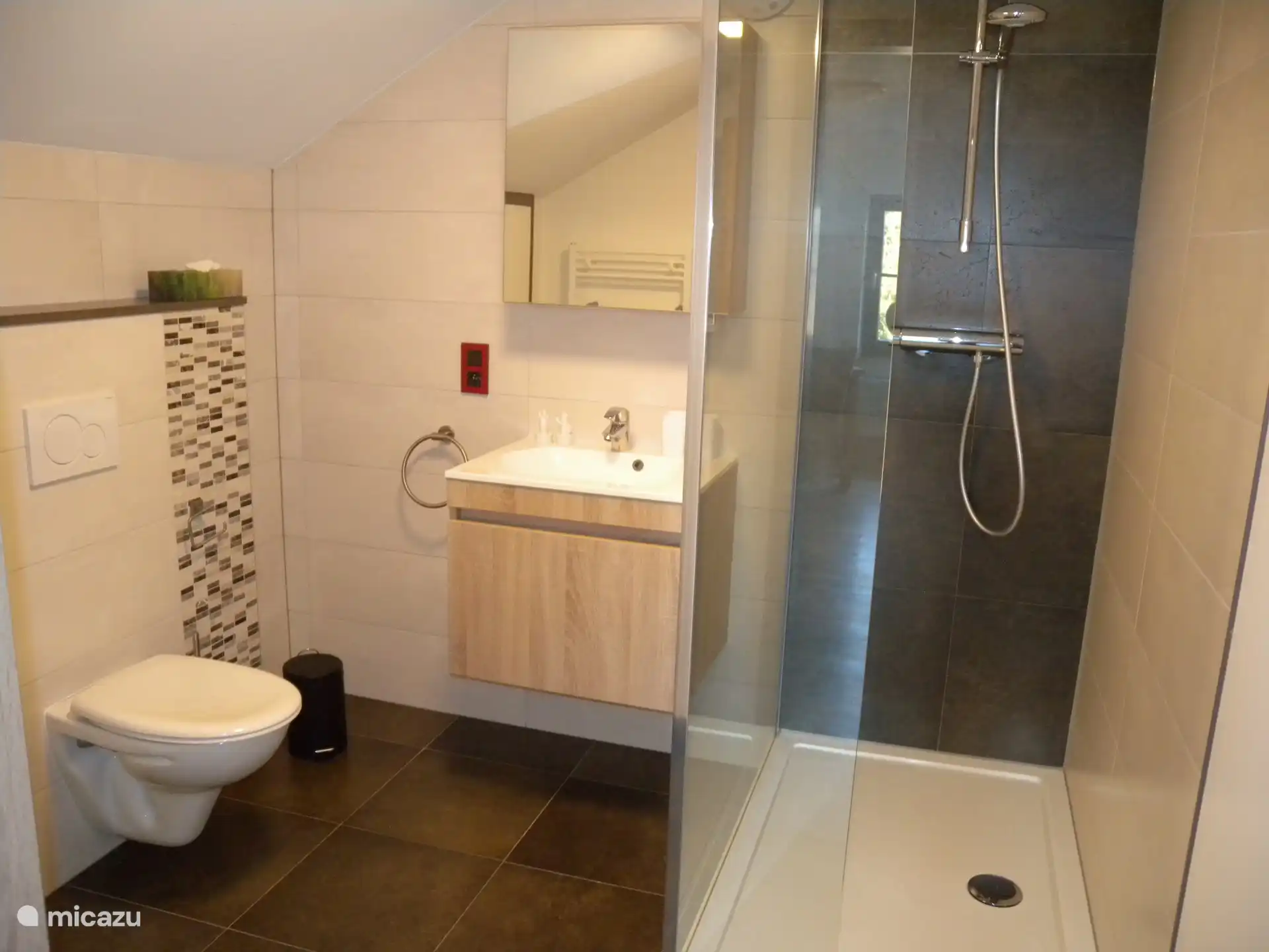 Bathroom with shower and shared flat no. 1
