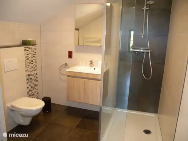 appartement huren in België, Ardennen, Butgenbach – T-Ravel Badkamer met douche en gedeelde flat nr. 1