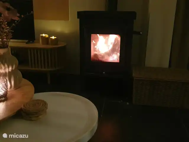 Chalet L’Oiseau Chanceux | Pays-Bas, Drenthe, Zorgvlied - maison de vacances Cheminée près du canapé.