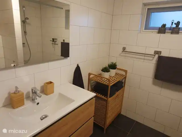 Chalet L’Oiseau Chanceux | Pays-Bas, Drenthe, Zorgvlied - maison de vacances Salle de bain 1