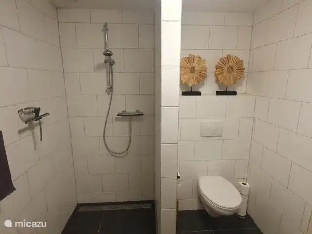 Chalet L’Oiseau Chanceux | Pays-Bas, Drenthe, Zorgvlied - maison de vacances Salle de bain 1