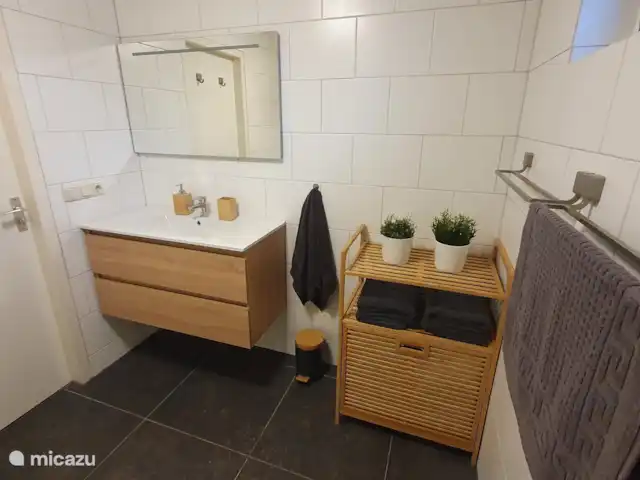 Chalet L’Oiseau Chanceux | Pays-Bas, Drenthe, Zorgvlied - maison de vacances Salle de bain 1