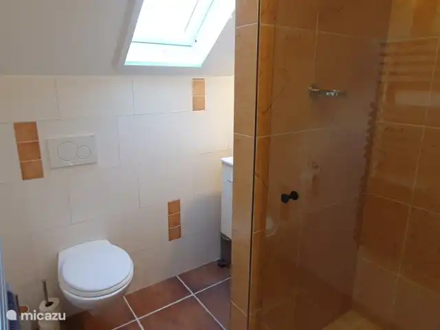 Chalet L’Oiseau Chanceux | Pays-Bas, Drenthe, Zorgvlied - maison de vacances Salle de bain 2