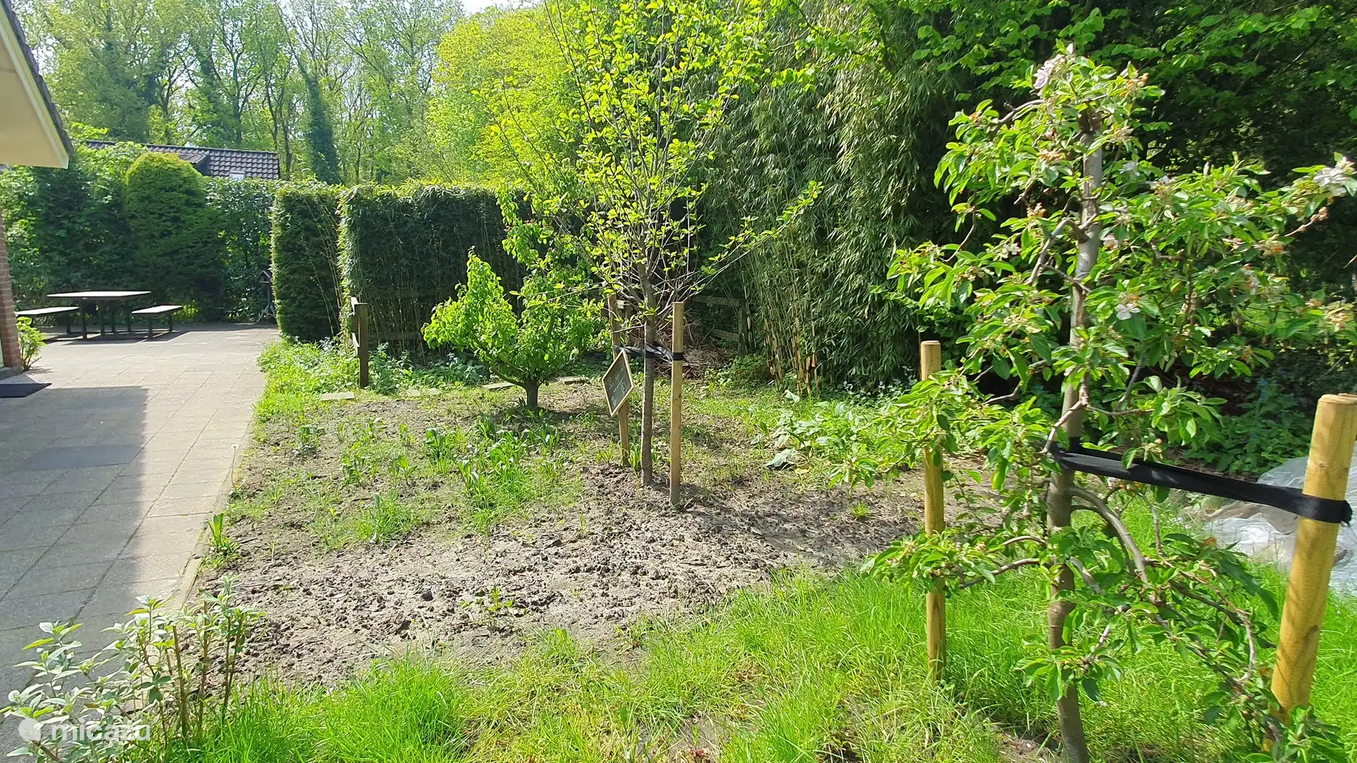 Unser Apfel-, Birnen- und Pflaumenbaum