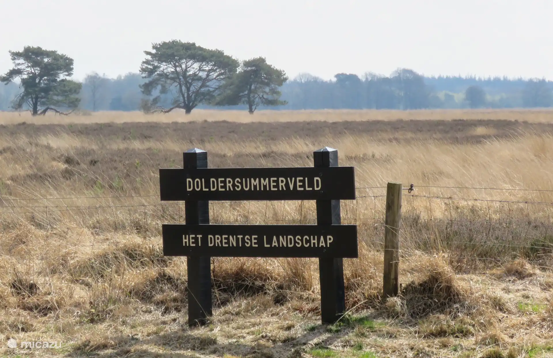 Drents-Friese würde