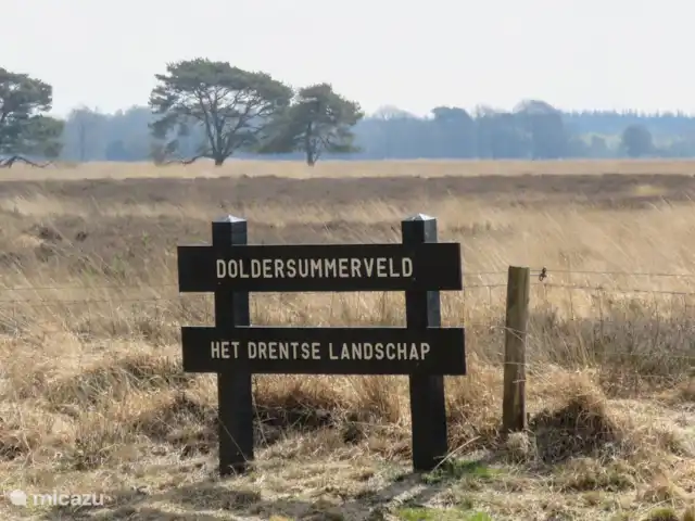 Chalet L’Oiseau Chanceux | Pays-Bas, Drenthe, Zorgvlied - maison de vacances Drents-Friese