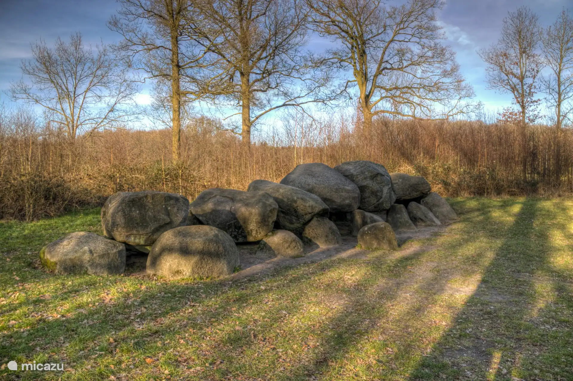 Drents-Friese würde
