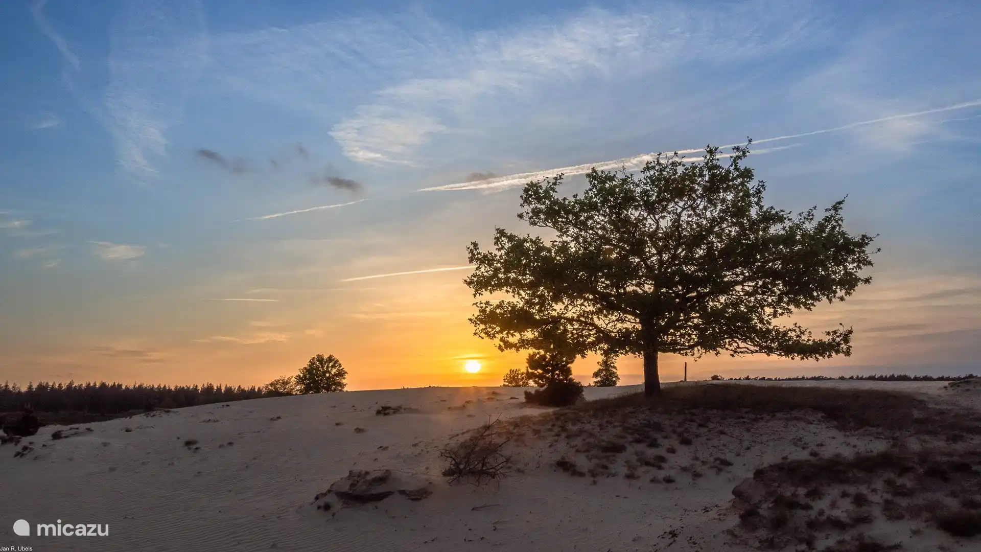 Drents-Friese würde