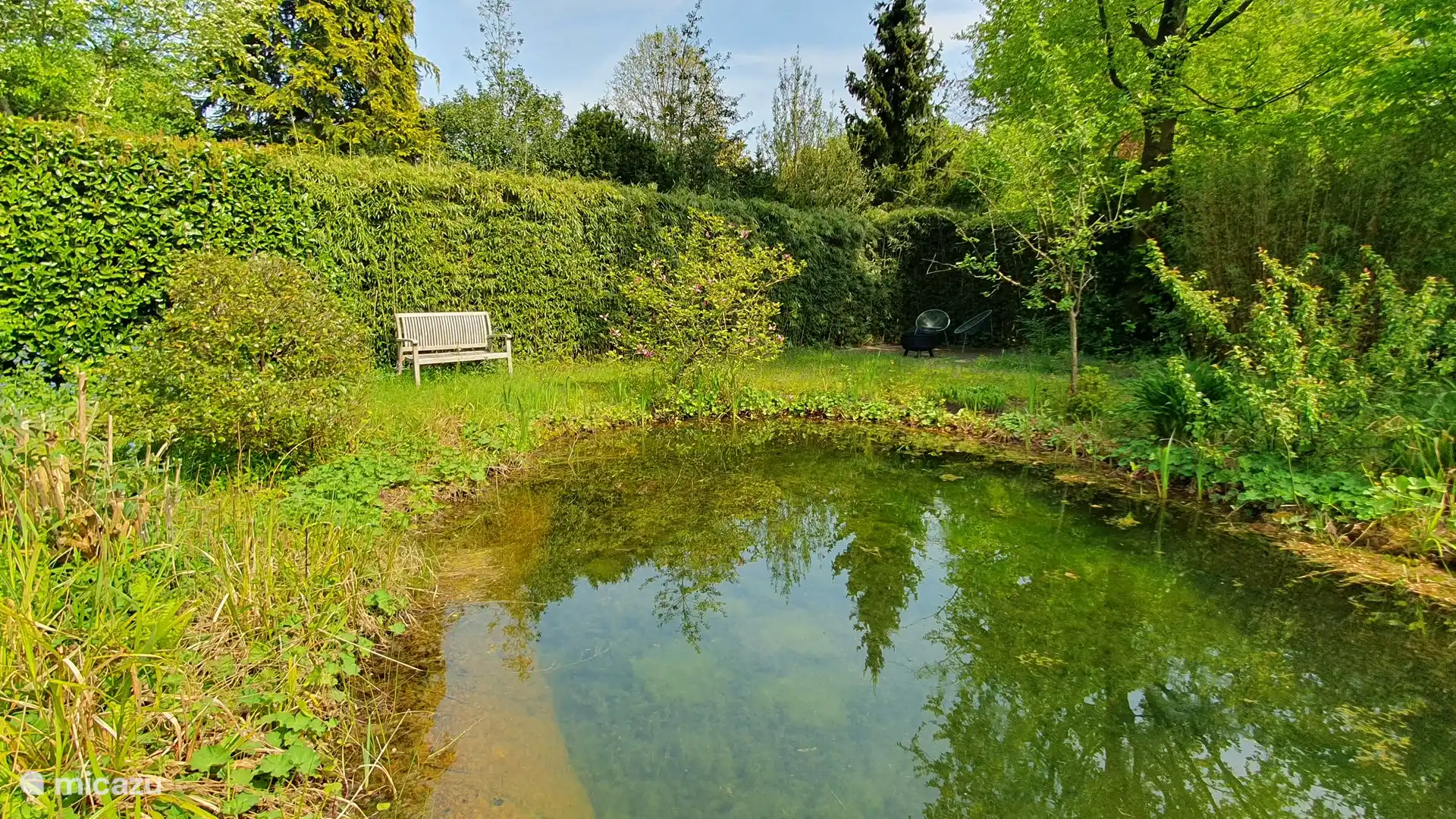 Bank am ökologischen Schwimmteich.