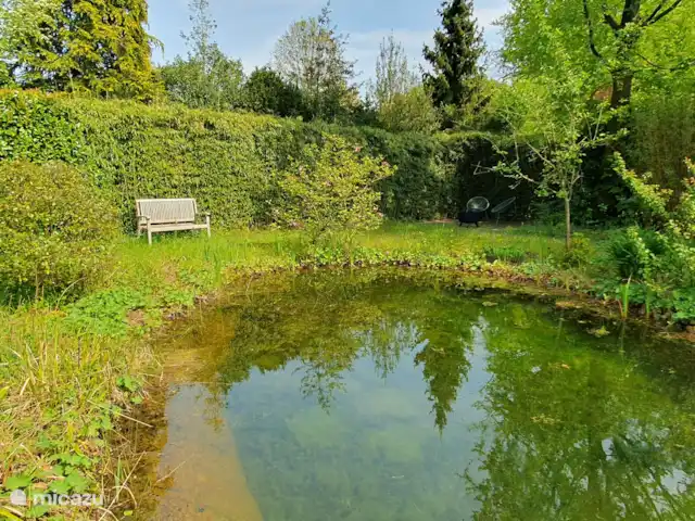 Chalet L’Oiseau Chanceux | Pays-Bas, Drenthe, Zorgvlied - maison de vacances Banc au bord de l’étang de baignade écologique.