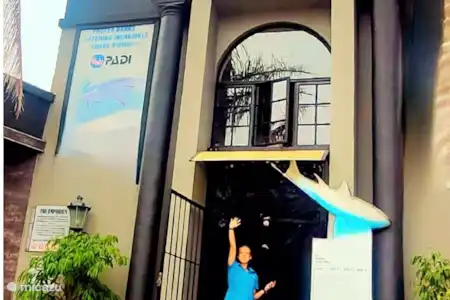 Buceo con tiburones y Michelle