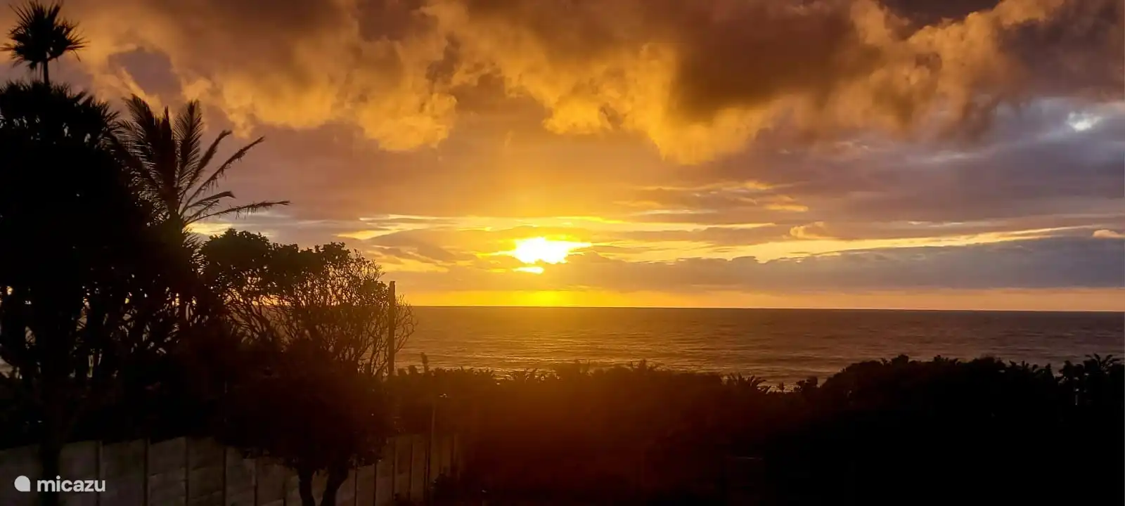 Für die Frühaufsteher !