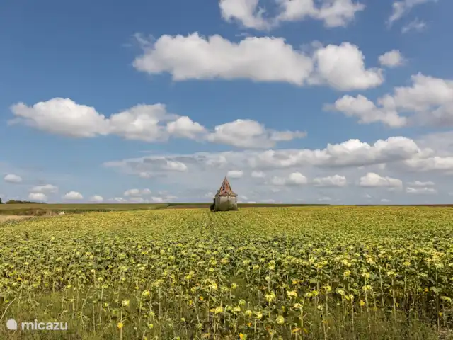 Maison Fame  huren in Frankrijk, Dordogne, Champagne-et-Fontaine - vakantiehuis vergezichten