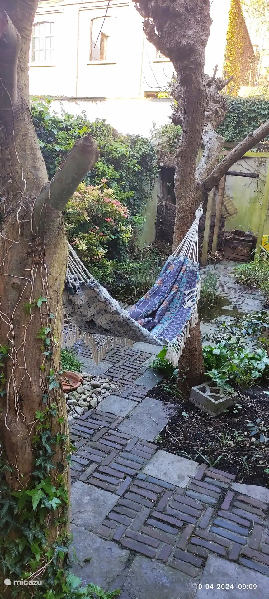 Entspannen Sie sich in der Hängematte...