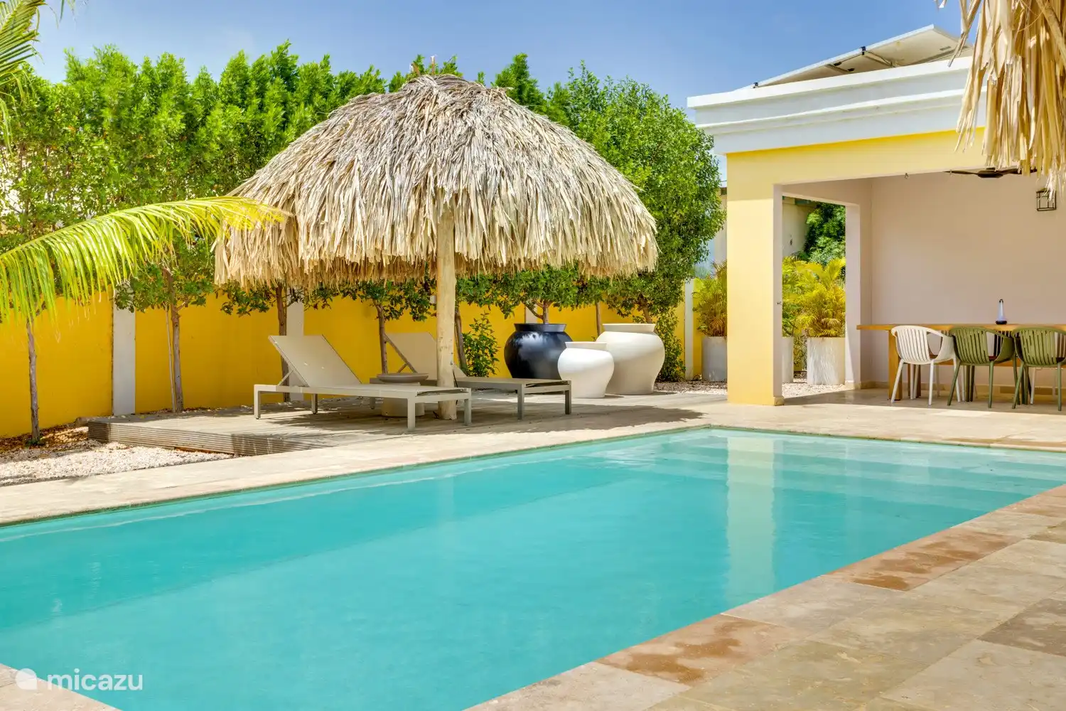 Terrace at the back of the villa, saltwater pool and palapa