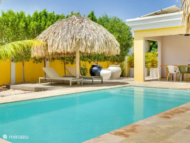 Nouvelle villa ! Villa Brosse | Bonaire, Bonaire, Kralendijk - villa Terrasse à l’arrière de la villa, piscine d’eau salée et palapa