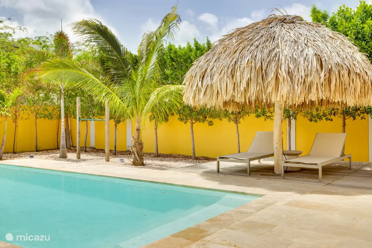Terrace at the back of the villa, saltwater pool and palapa