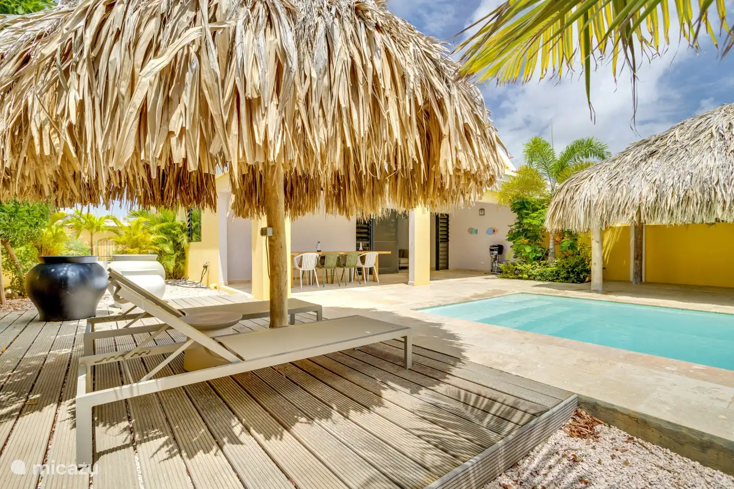 Terrace at the back of the villa, saltwater pool and palapa
