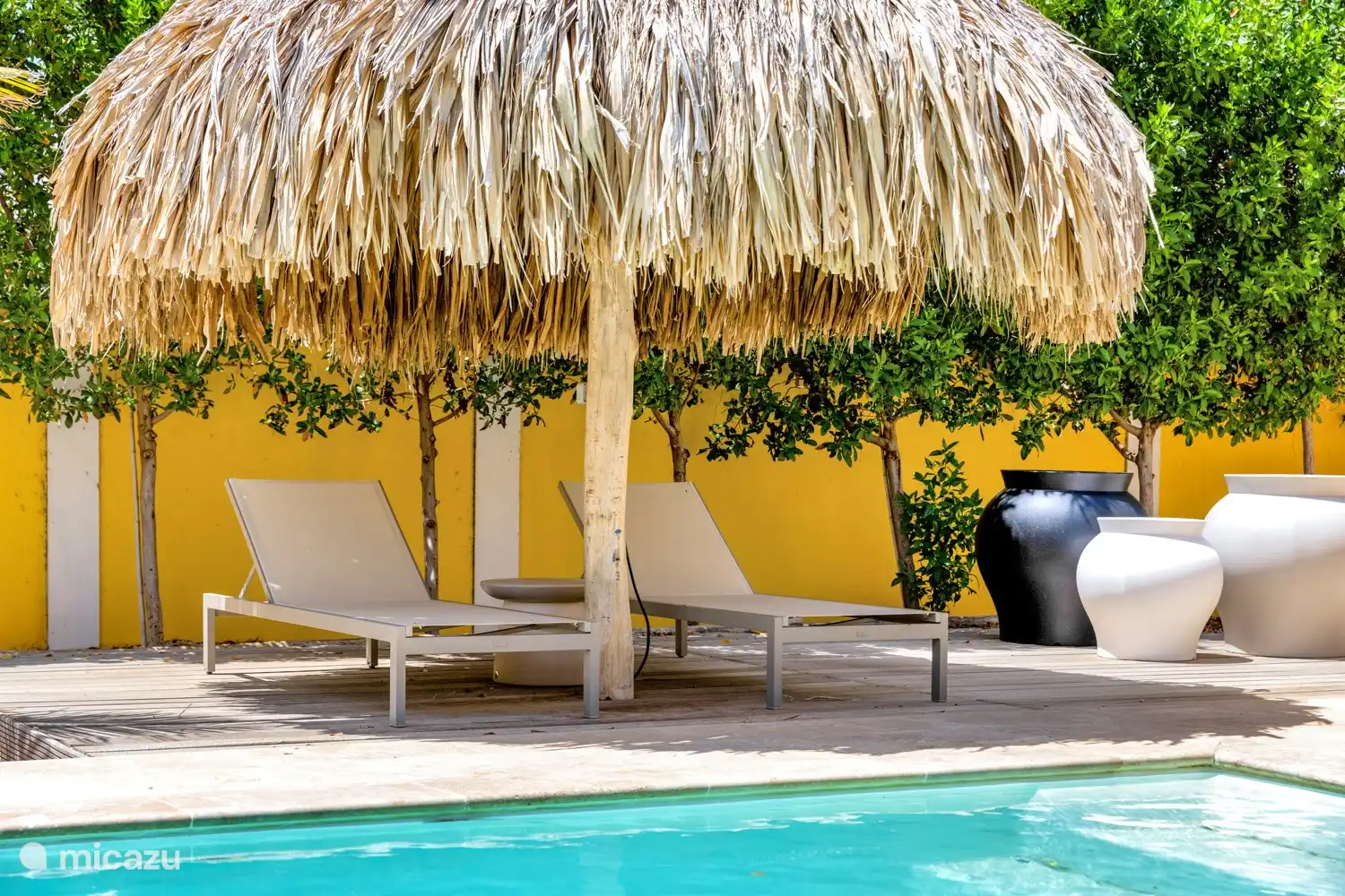 Terrace at the back of the villa, saltwater pool and palapa