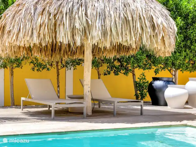 Nouvelle villa ! Villa Brosse | Bonaire, Bonaire, Kralendijk - villa Terrasse à l’arrière de la villa, piscine d’eau salée et palapa