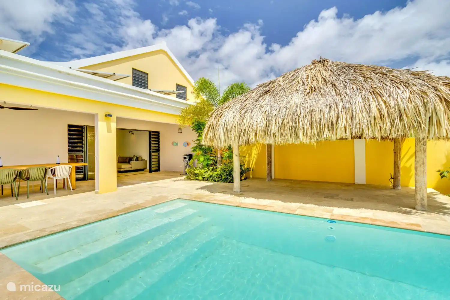 Terrace at the back of the villa, saltwater pool and palapa