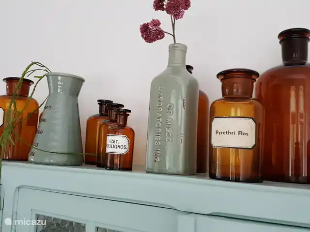 Villa Venray | Pays-Bas, Limbourg, Venray - villa Si vous venez à la villa Venray, vous vous retrouverez dans la villa d’un médecin. Nous avons ici quelques éléments d’histoire, quelques vieux pots d’apothicaire.