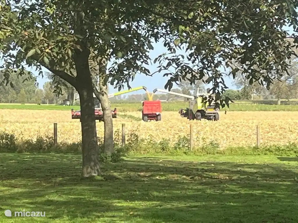 ¡Jardín con vistas!