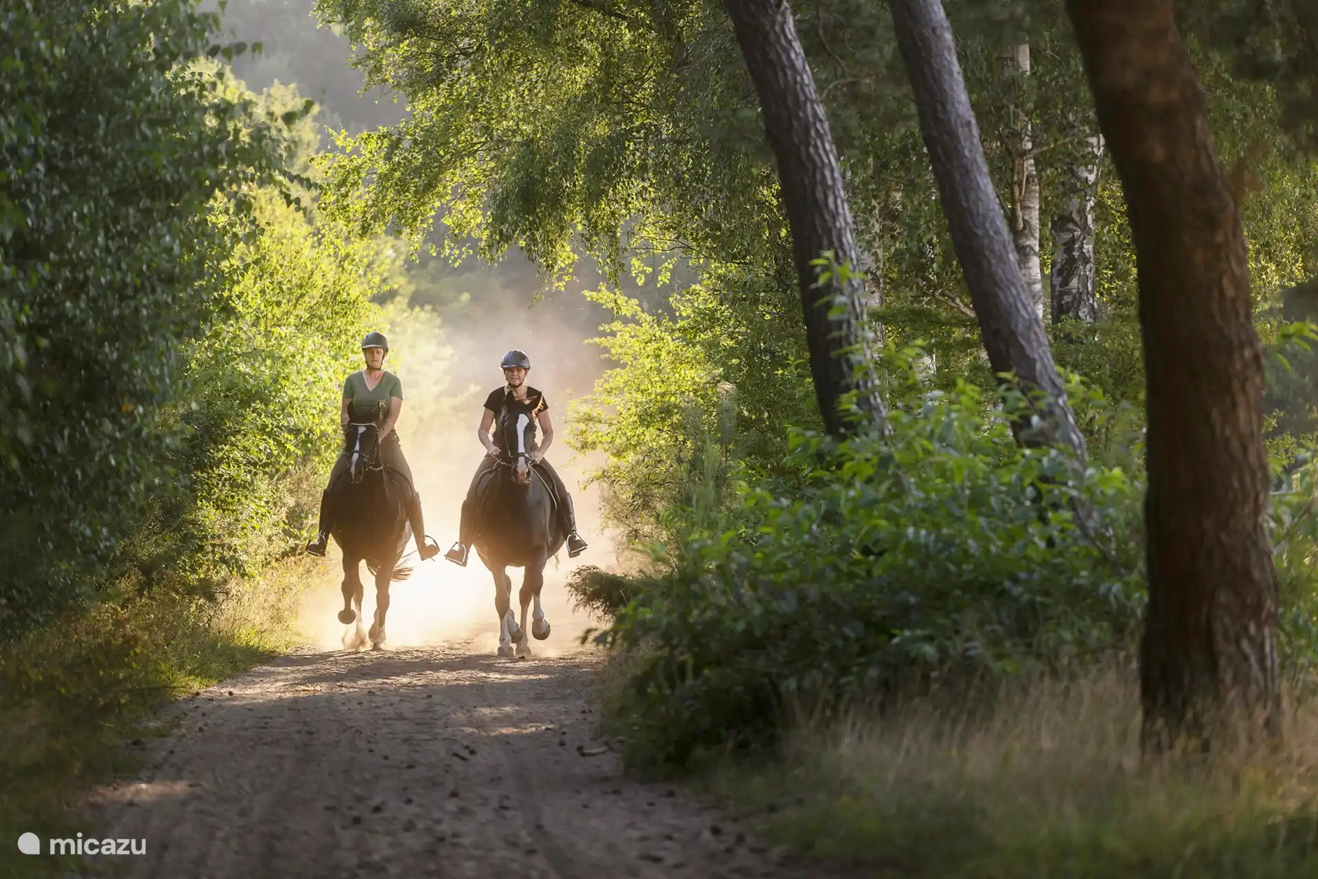 Machen Sie einen schönen Spaziergang oder, wie diese Damen es tun, zu Pferd durch die Wälder von Drenthe. 