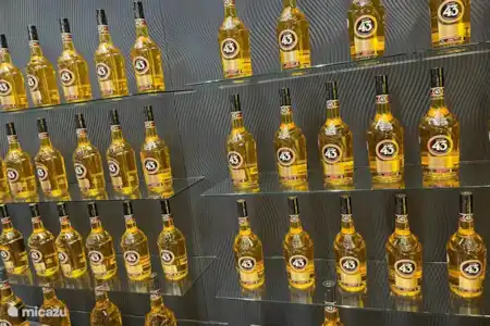 Experiencia Licor 43
