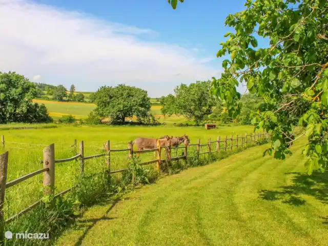 Le Pigeonnier de Migou en Francia, Tarn-et-Garonne, Larrazet - casa rural / cabaña Nuestros burros.