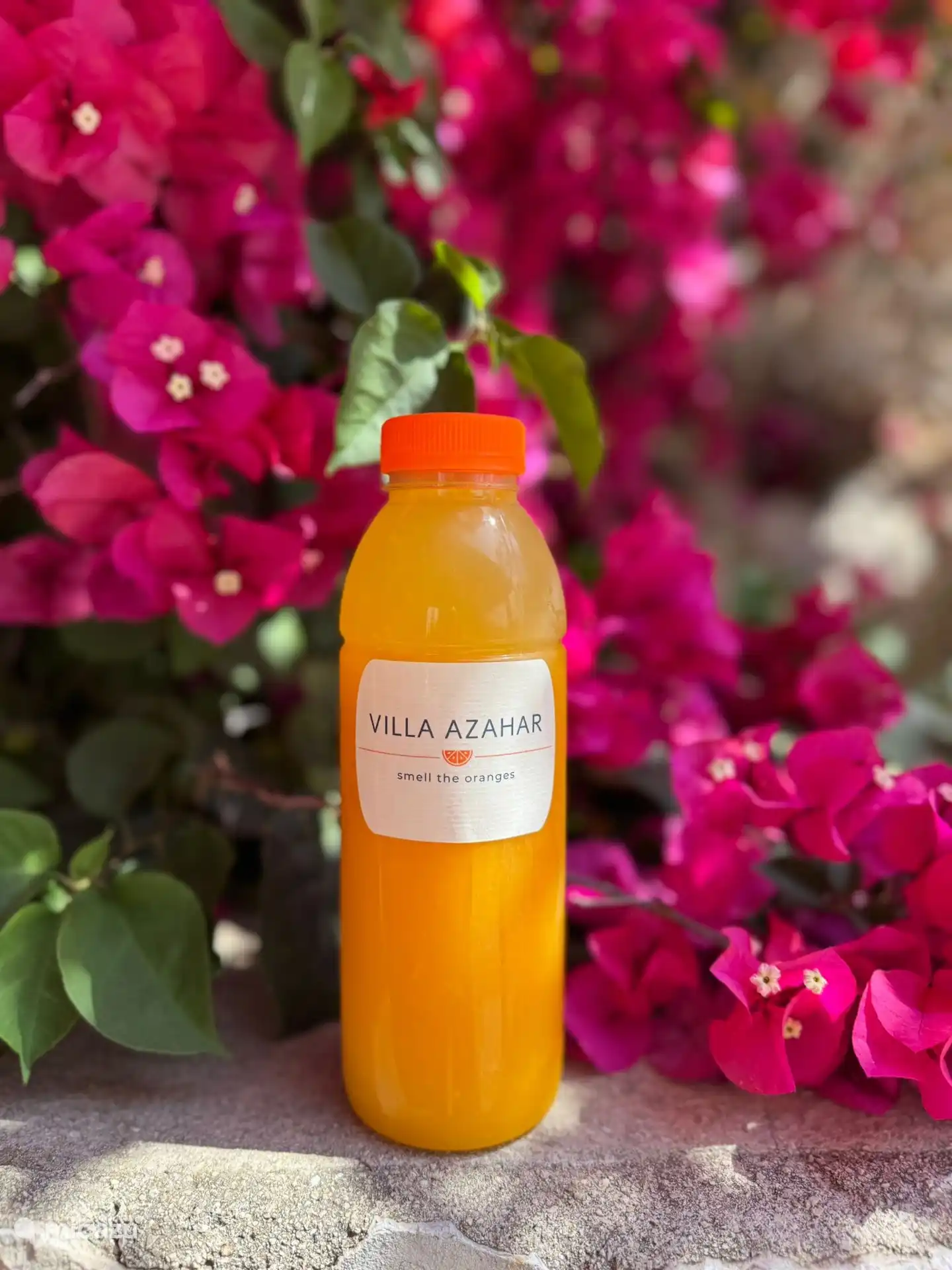 Frischer Orangensaft!