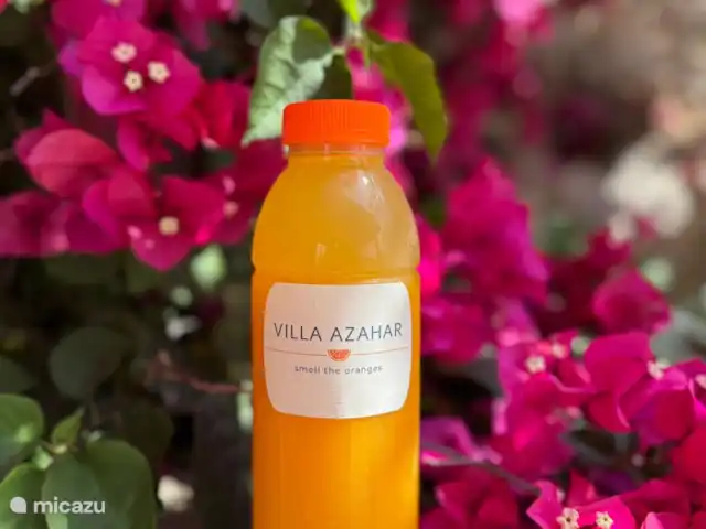 Villa Azahar en España, Valencia, Castellón - villa ¡Jugo de naranja fresco!