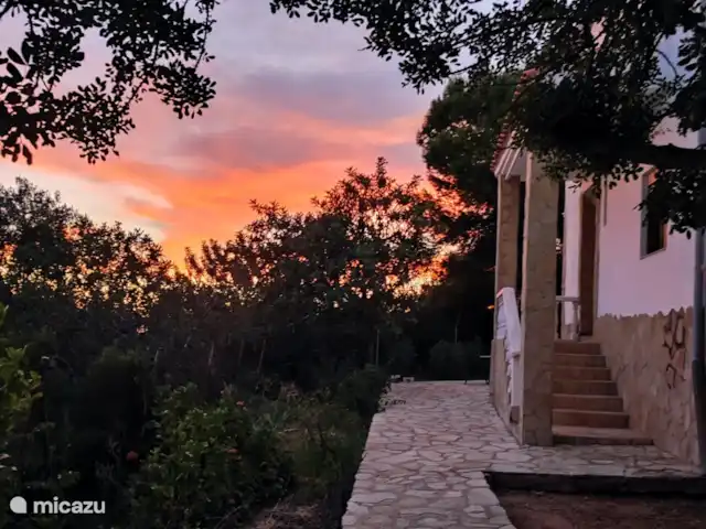 Villa Azahar en España, Valencia, Castellón - villa Villa Azahar en la hermosa noche de verano